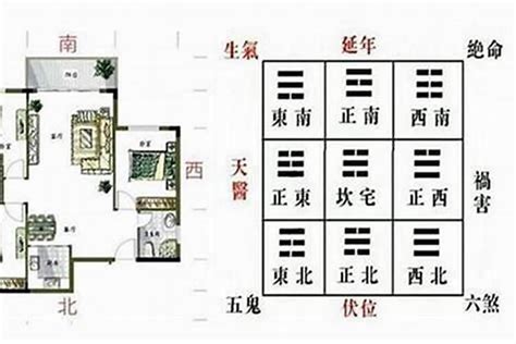 青龙位在哪里|如何确定客厅的青龙位？